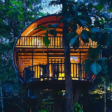Woodland Sanctuary 호텔 하바라나 외부 사진
