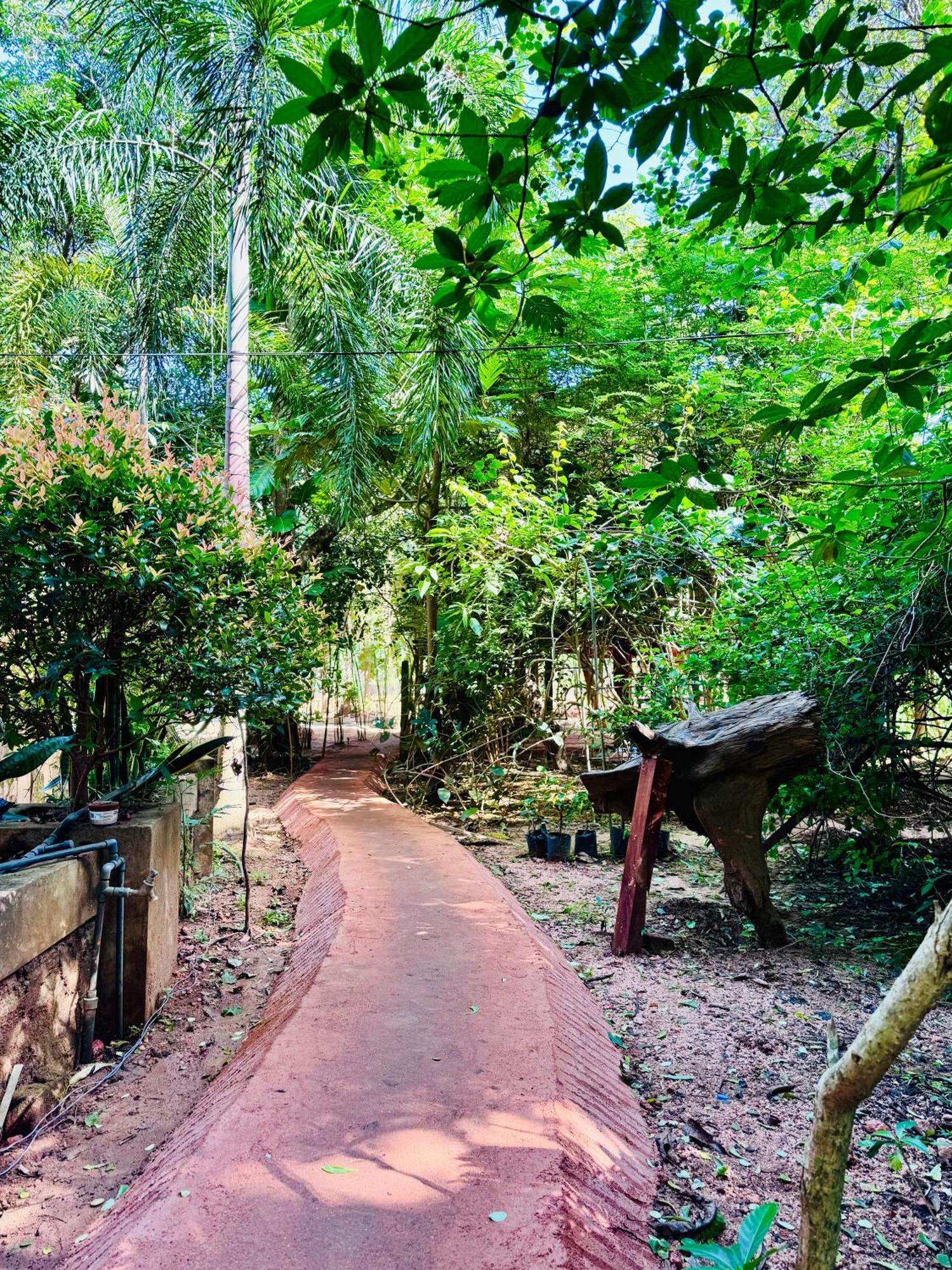 Woodland Sanctuary 호텔 하바라나 외부 사진