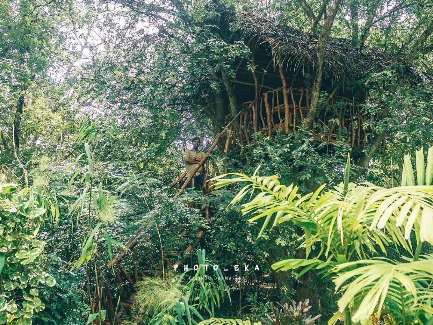 Woodland Sanctuary 호텔 하바라나 외부 사진